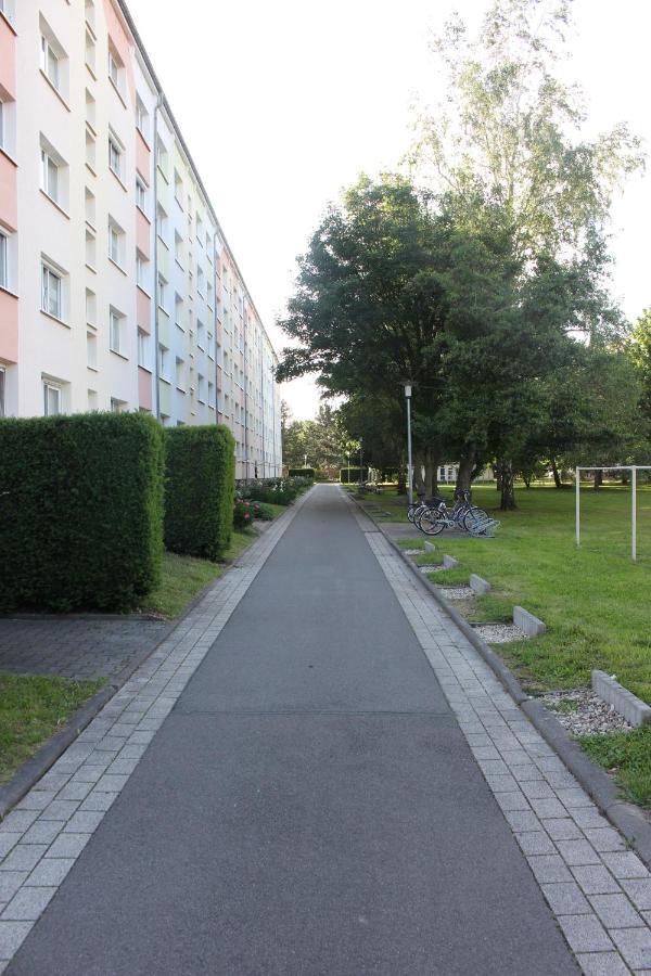 Fewo Leipziger Neuseenland Neukieritzsch المظهر الخارجي الصورة